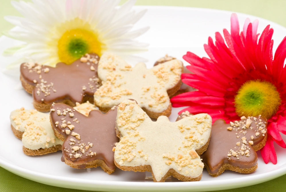 Dog & Butterfly Cookies